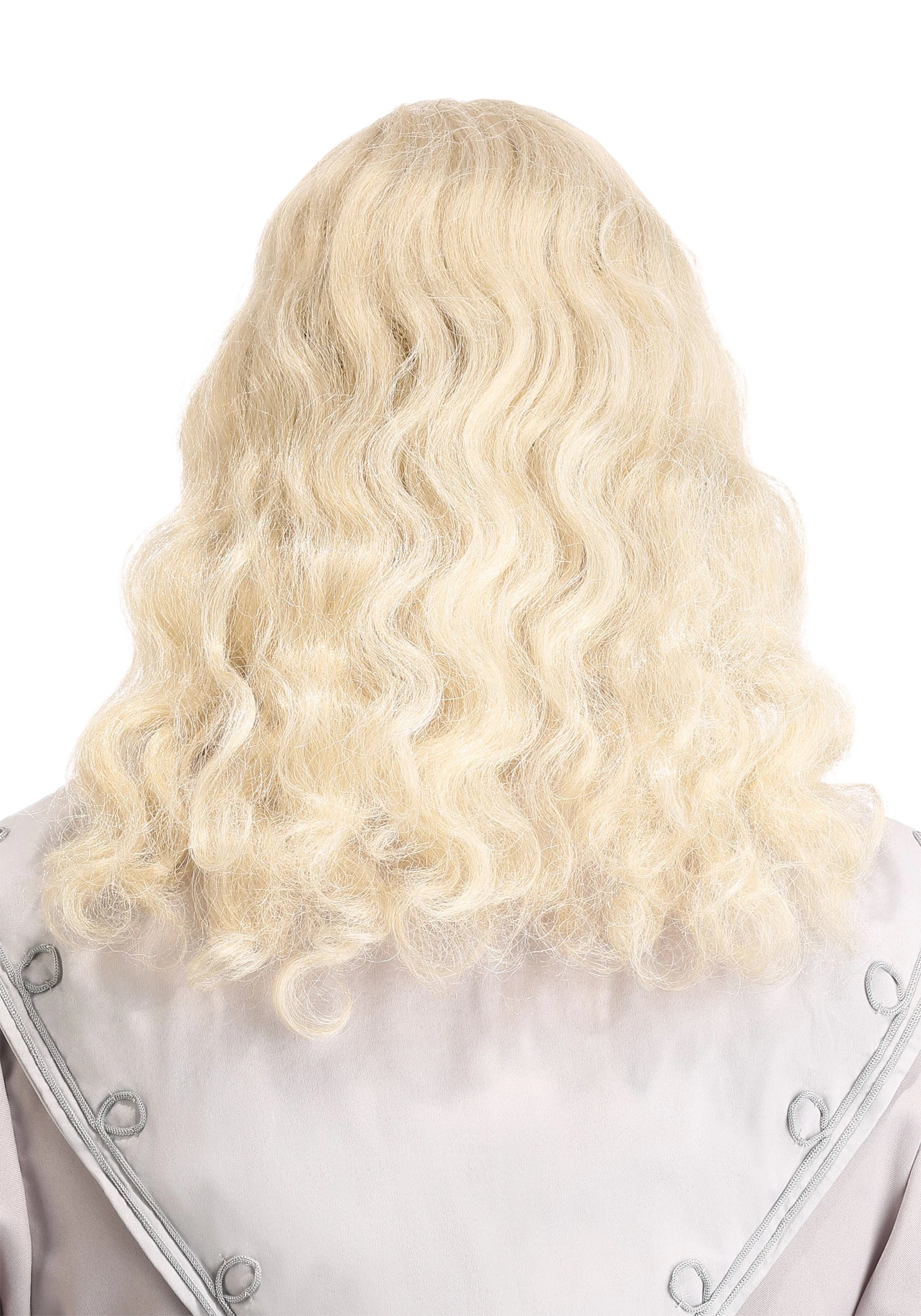 Adult Headmaster Wizard Wig And Beard - Image 2